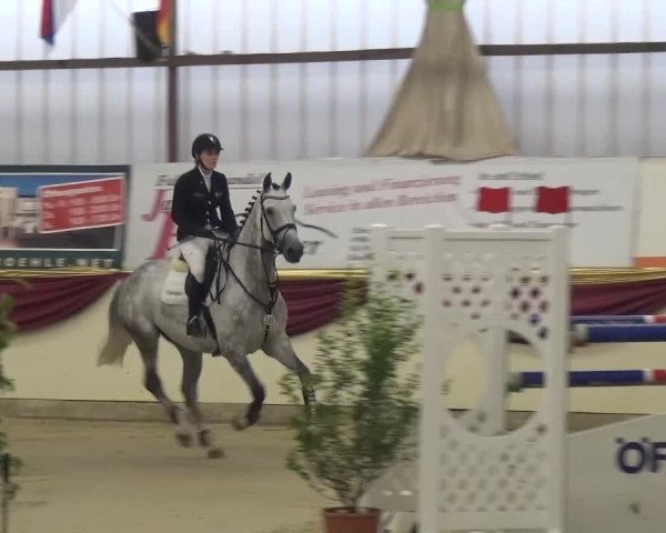 CSI Damme 2015
