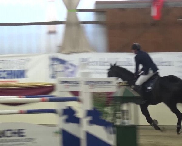CSI Damme 2015