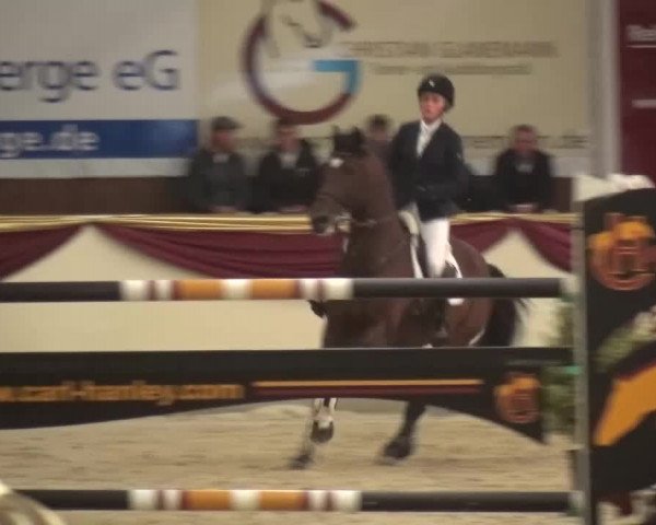 CSI Damme 2015
