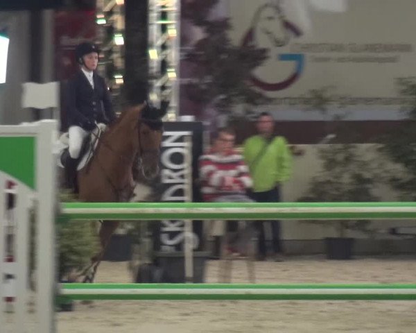 CSI Damme 2015