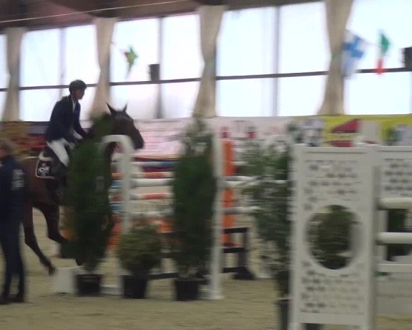 CSI Damme 2015