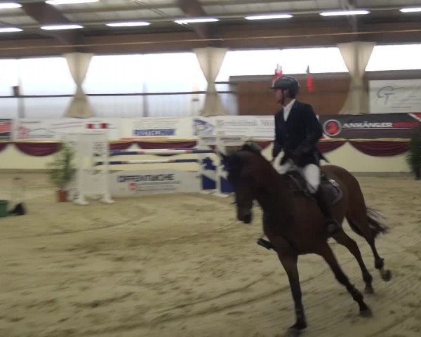 CSI Damme 2015