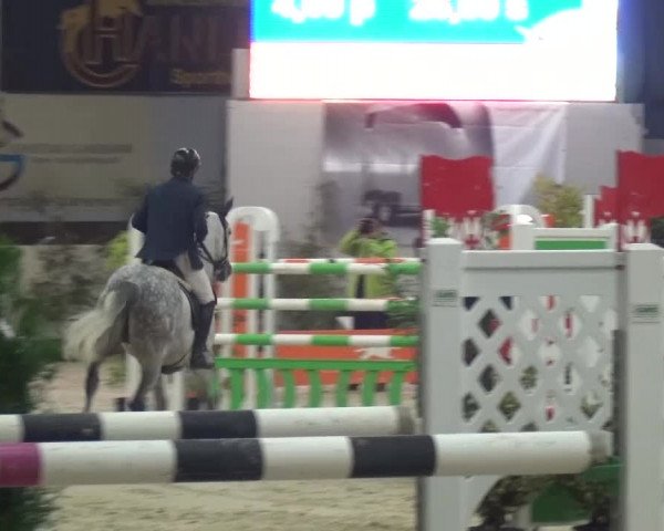 CSI Damme 2015