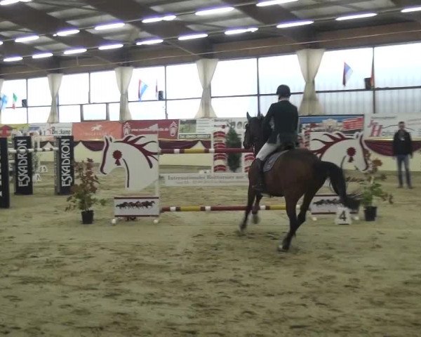 CSI Damme 2015
