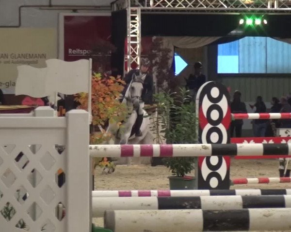 CSI Damme 2015