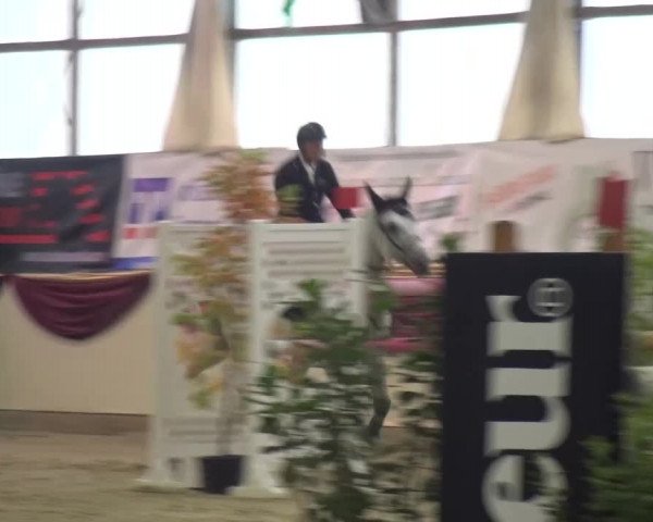 CSI Damme 2015