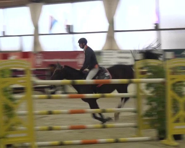 CSI Damme 2015