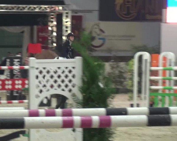 CSI Damme 2015