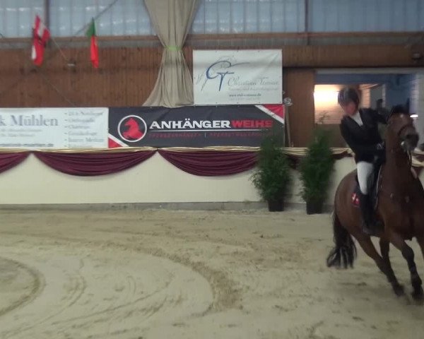 CSI Damme 2015