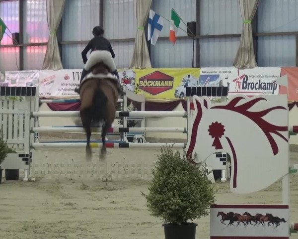 CSI Damme 2015