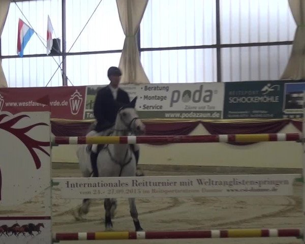 CSI Damme 2015