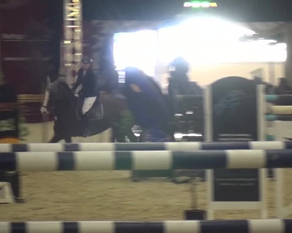 CSI Damme 2015