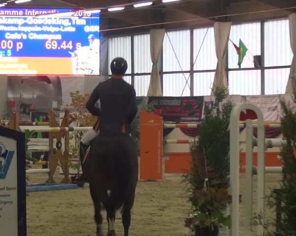 CSI Damme 2015