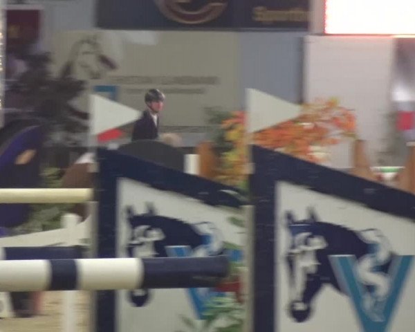 CSI Damme 2015