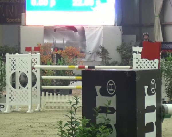 CSI Damme 2015