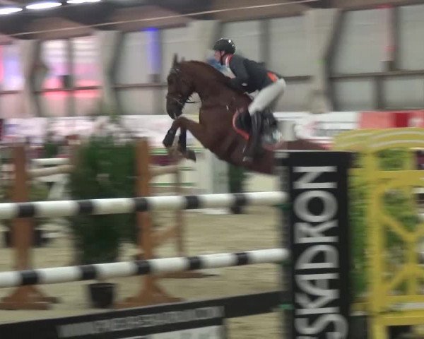 CSI Damme 2015