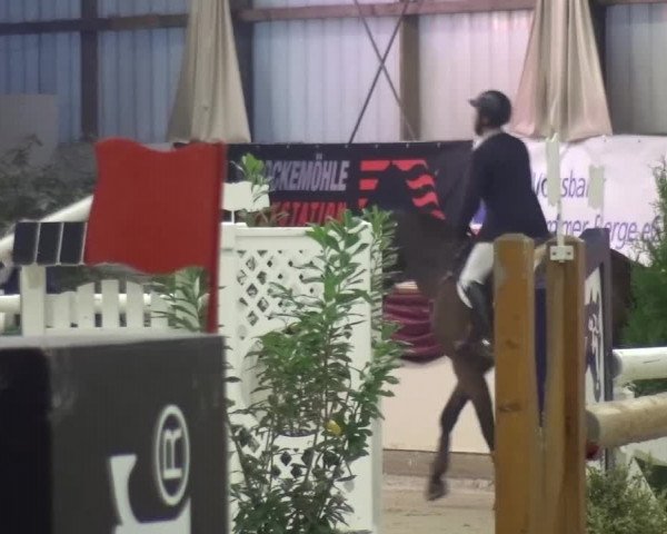 CSI Damme 2015