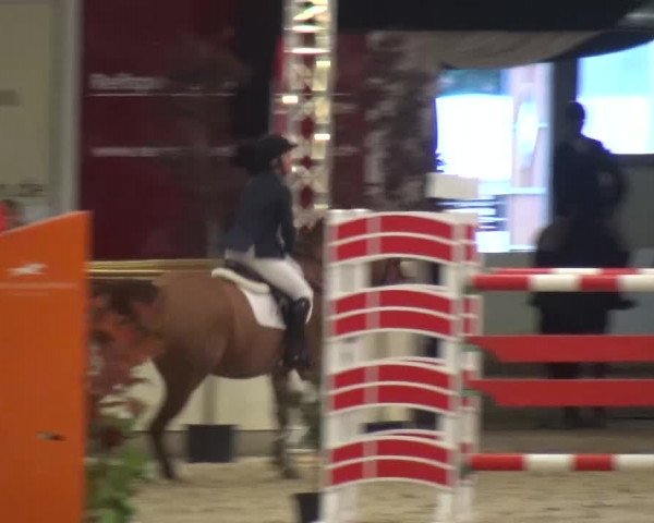 CSI Damme 2015