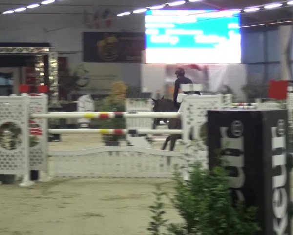 CSI Damme 2015