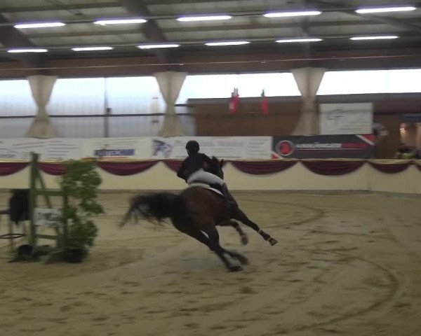 CSI Damme 2015