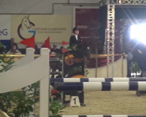 CSI Damme 2015