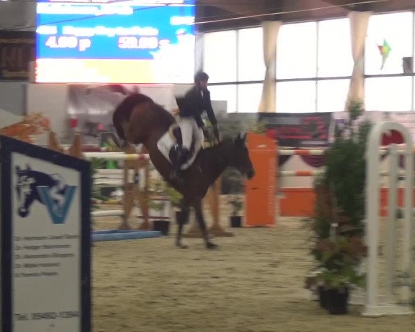 CSI Damme 2015
