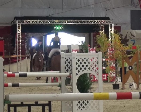CSI Damme 2015