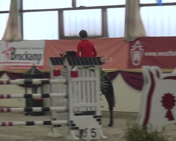 CSI Damme 2015