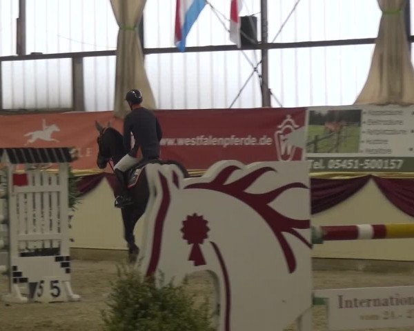 CSI Damme 2015