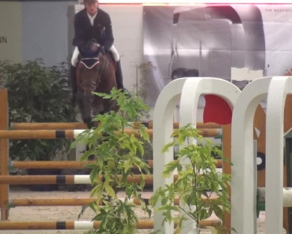 CSI Damme 2015