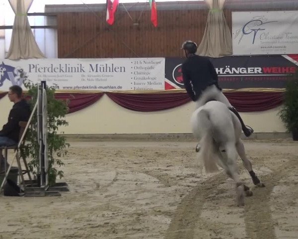 CSI Damme 2015