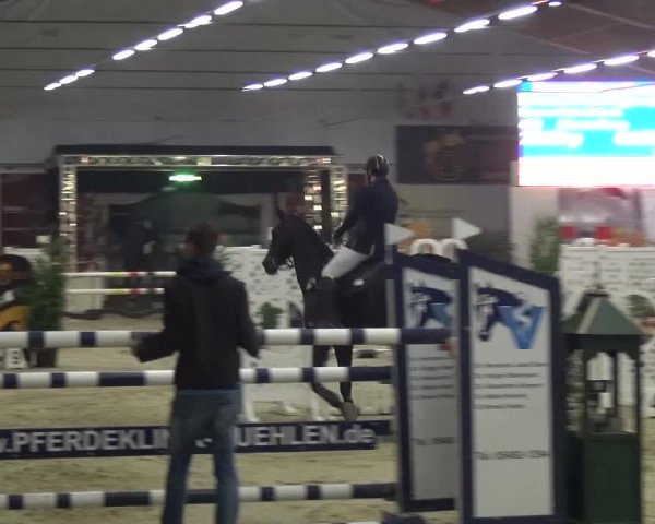 CSI Damme 2015