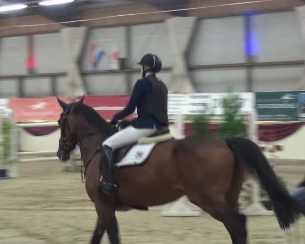 CSI Damme 2015