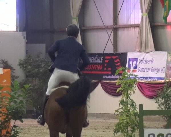CSI Damme 2015
