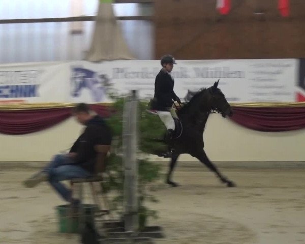 CSI Damme 2015