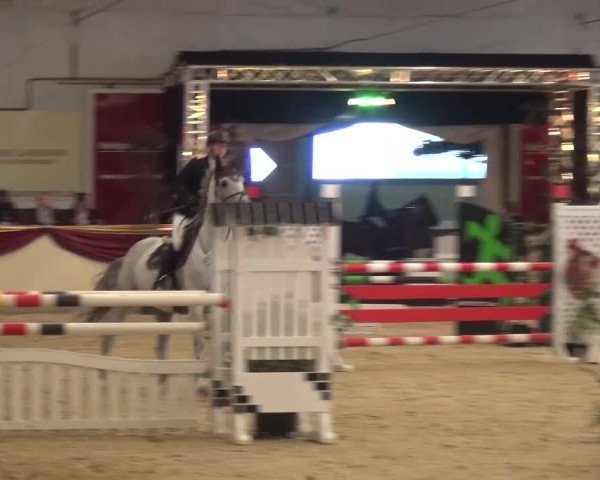 CSI Damme 2015