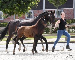 horse Dance for me EH (Oldenburg, 2019, from Bossanova 28)