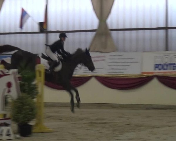 CSI Damme 2015
