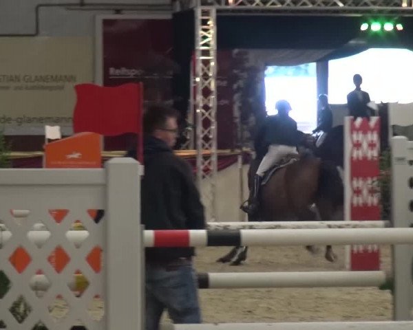 CSI Damme 2015