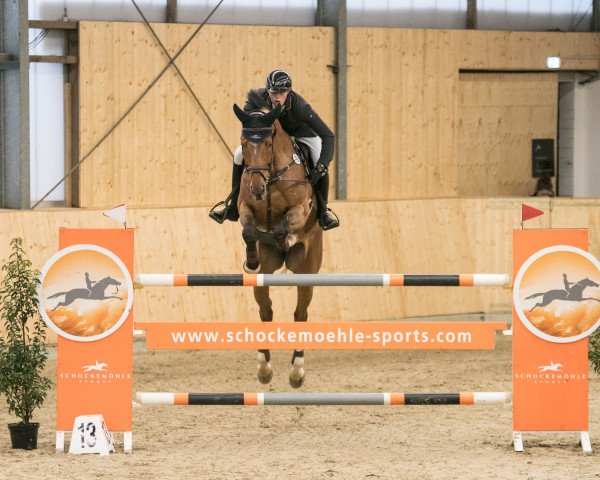 Springpferd Eldoranda 2 (Oldenburger Springpferd, 2012, von Eldorado van de Zeshoek)