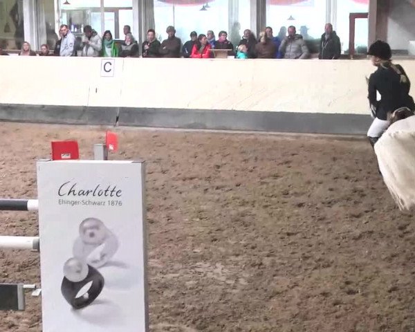 Württembergische Mannschaftsmeisterschaften 2015