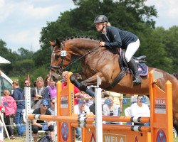 jumper TI Let's Dance (German Sport Horse, 2013, from Le Castell)