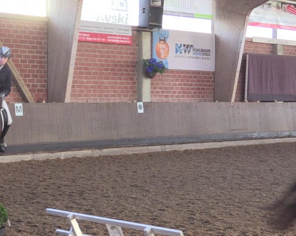 Reitturnier Hüllhorst 2015