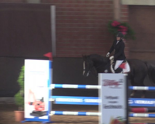 Reitturnier Hüllhorst 2015