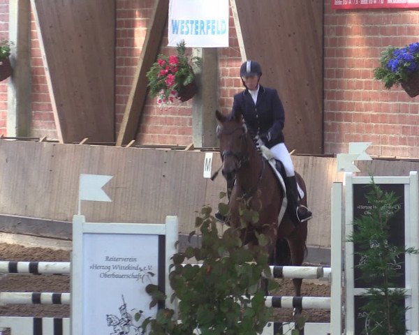 Reitturnier Hüllhorst 2015