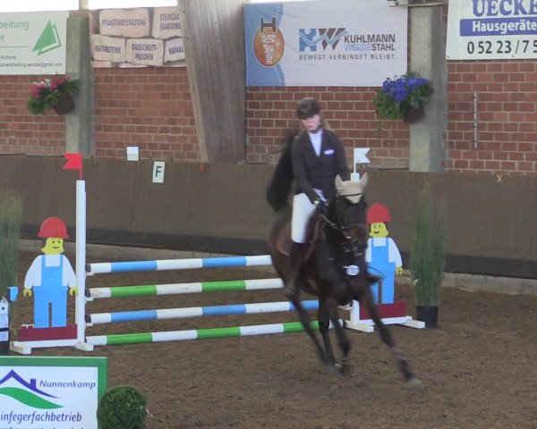 Reitturnier Hüllhorst 2015
