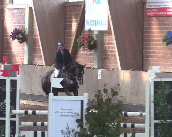 Reitturnier Hüllhorst 2015