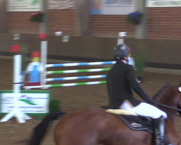 Reitturnier Hüllhorst 2015