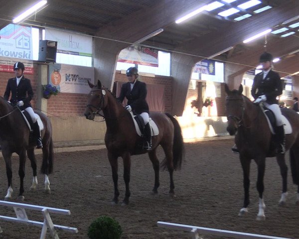 Reitturnier Hüllhorst 2015