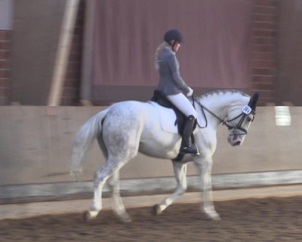 Reitturnier Hüllhorst 2015